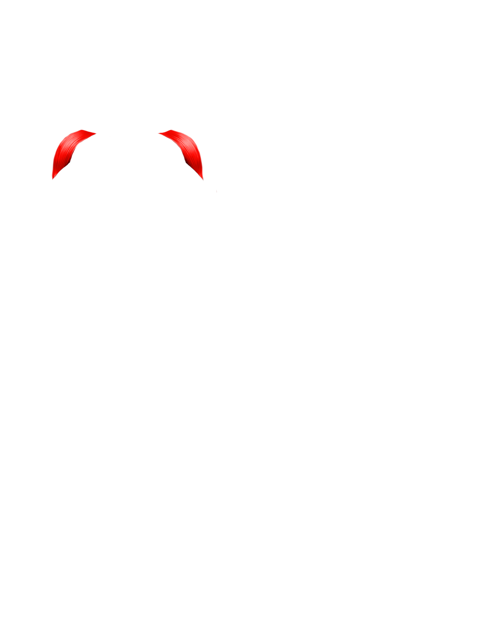 Músculo