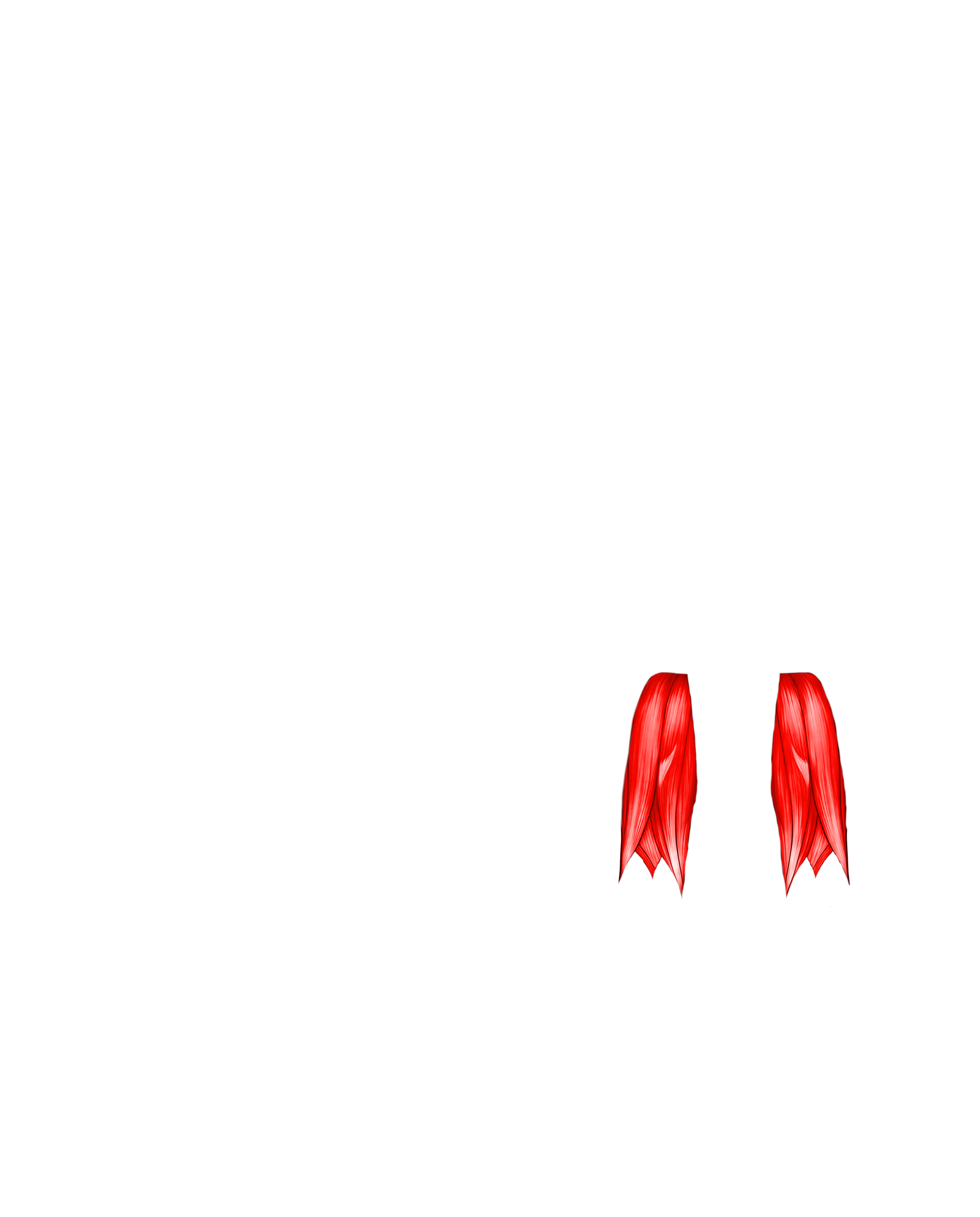 Músculo