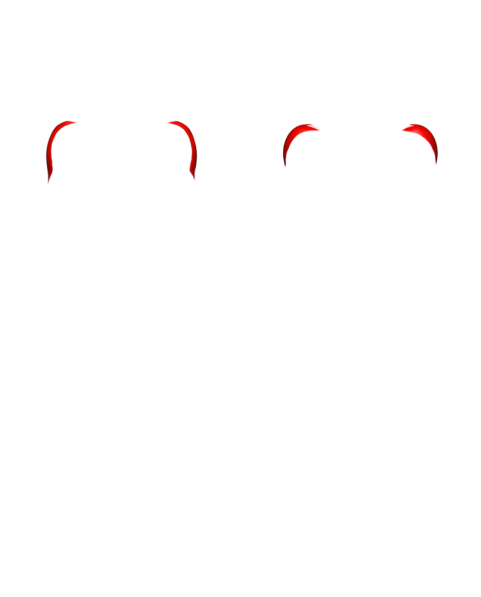 Músculo