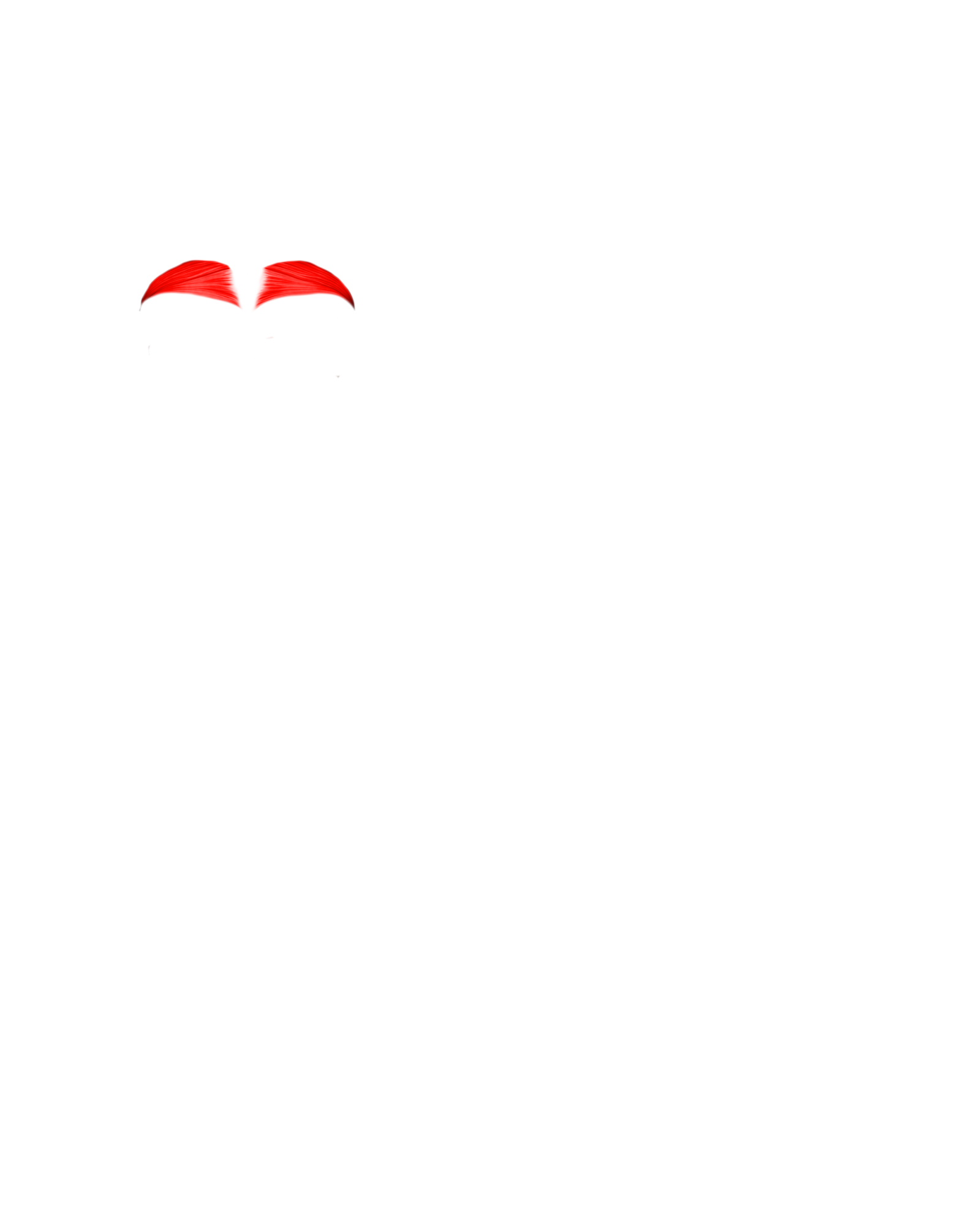 Músculo