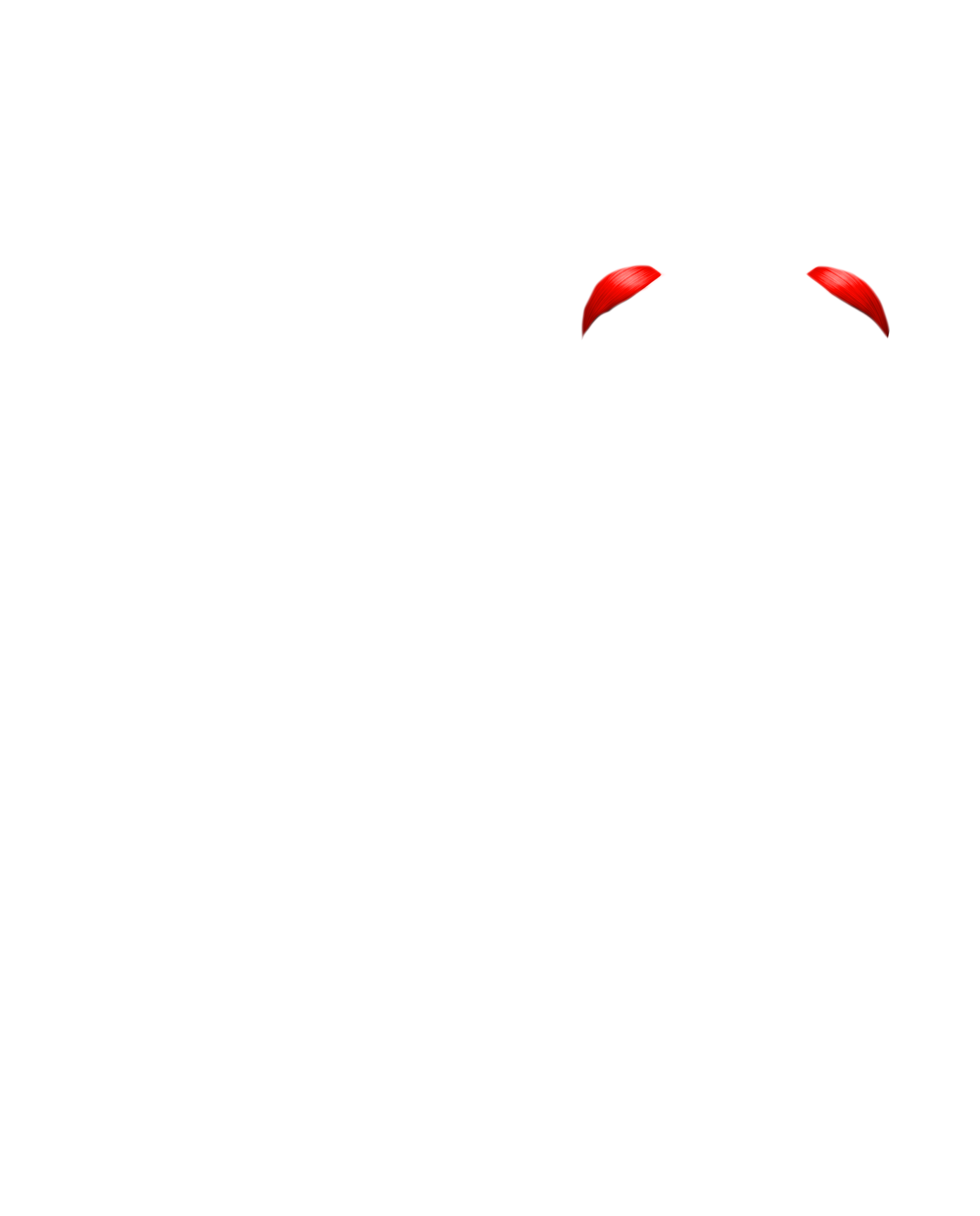 Músculo