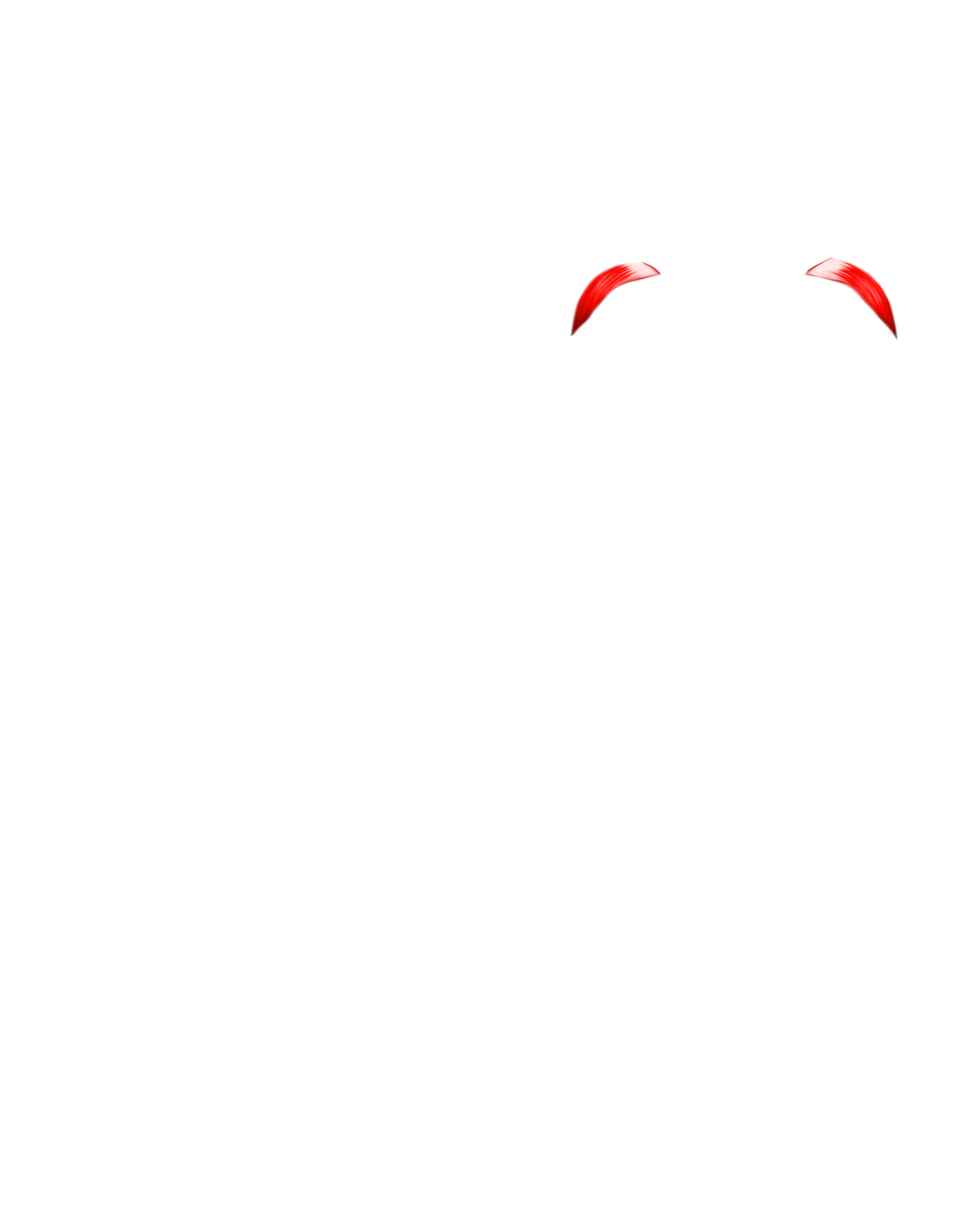Músculo